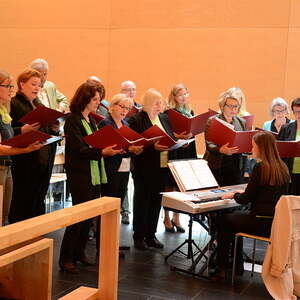 Fest des Hl. Franz von Assisi