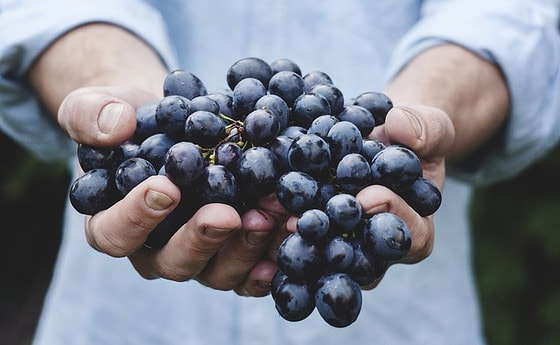 Grapes