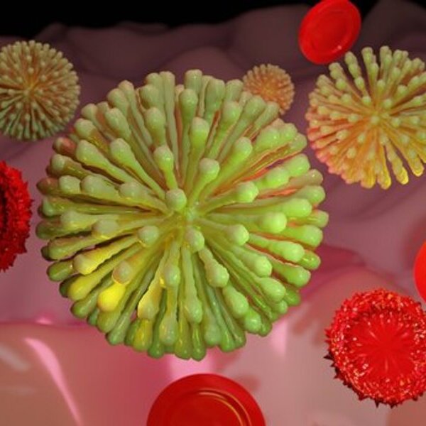 Corona-Virus