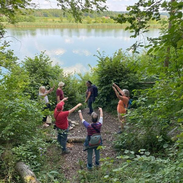 Vernetzungstreffen im Heidewald Schieferegg / KBW Treffpunkt Bildung OÖ