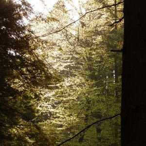 Meditative Pilgerwanderung