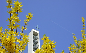 Blühende Gemeinde Linz-St. Peter. © Pfarre Linz-St. Peter