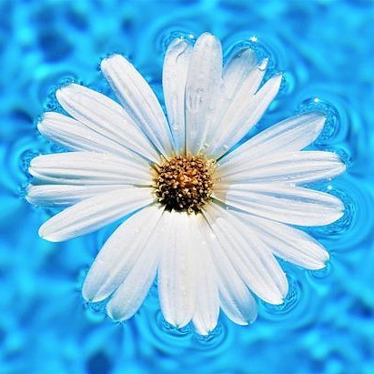 Sommer