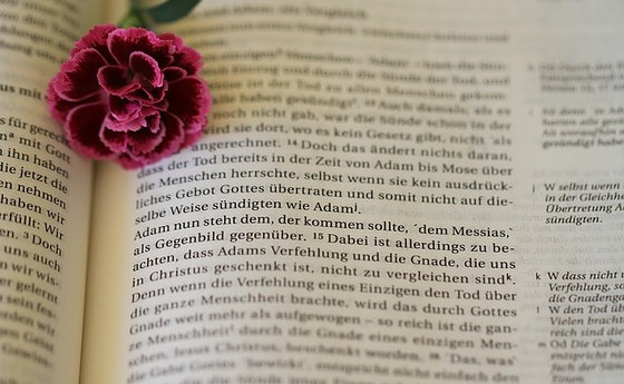 Bibel 