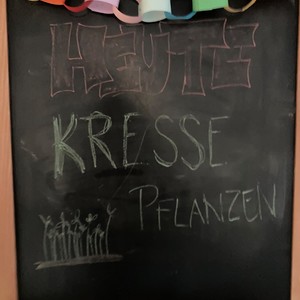 Montags-Programm
