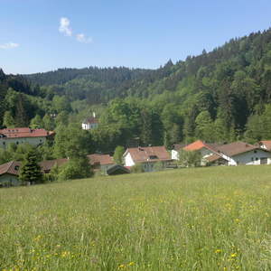 jährliche Fußwallfahrt von Untergriesbach nach Büchlberg
