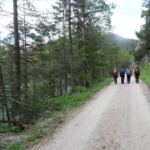 Erlauf-Stausee                              