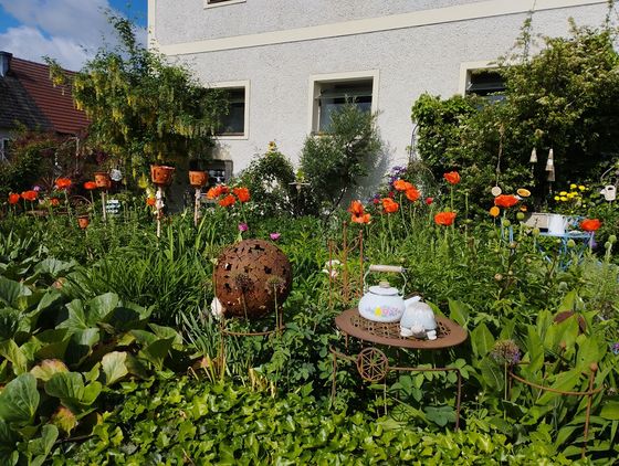 Von Summerau bis nach Linz