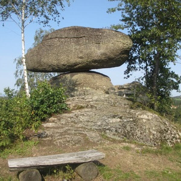 Titelbild - Schwammerling                                